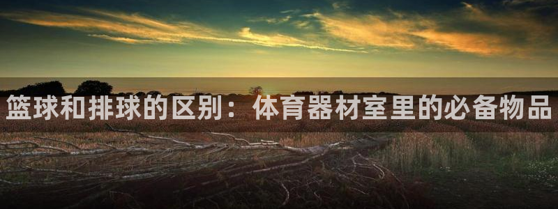 耀世娱乐app下载官网：篮球和排球的区别：体育器材室里的必备
