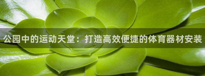 耀世娱乐注册登陆：公园中的运动天堂：打造高效便捷的体育器材安