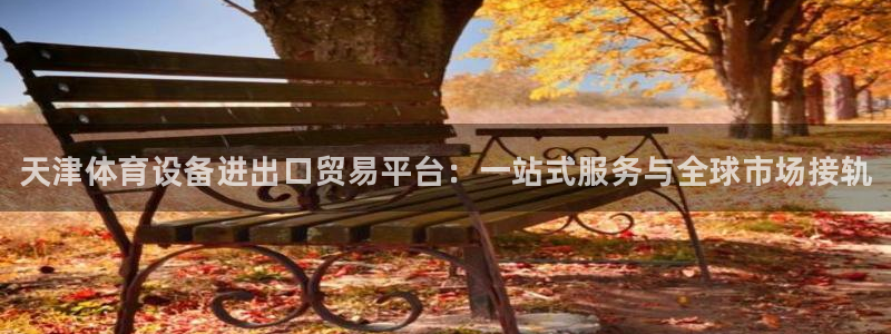 耀世娱乐提款机怎么用：天津体育设备进出口贸易平台：一