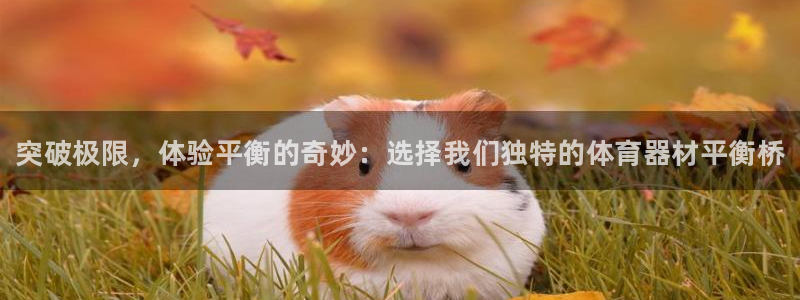 耀世官网入口：突破极限，体验平衡的奇妙：选择我们独特