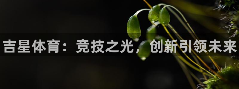 耀世小说全文免费阅读：吉星体育：竞技之光，创新引领未来