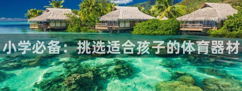 耀世娱乐登陆地址查询：小学必备：挑选适合孩子的体育器材