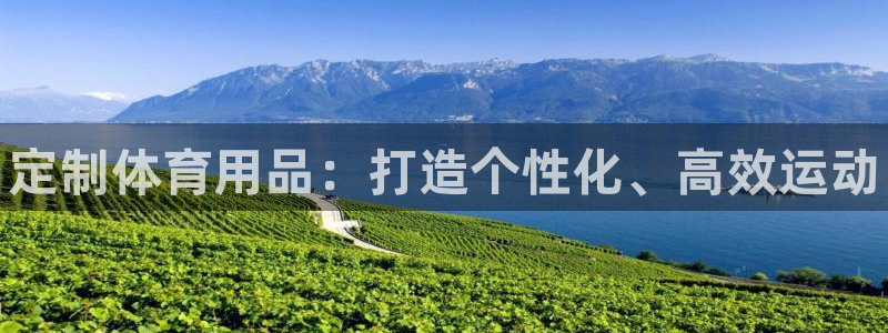 耀世官网入口：定制体育用品：打造个性化、高效运动