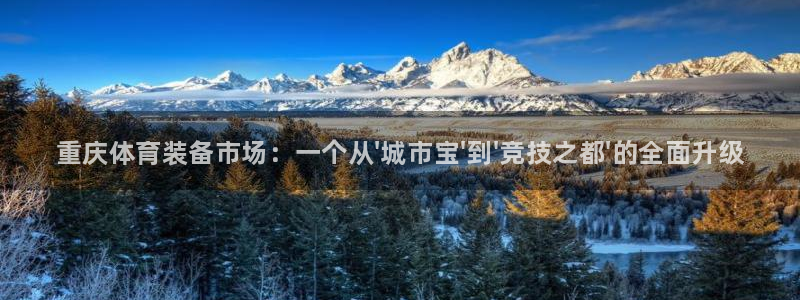 耀世而生什么意思：重庆体育装备市场：一个从\'城市宝